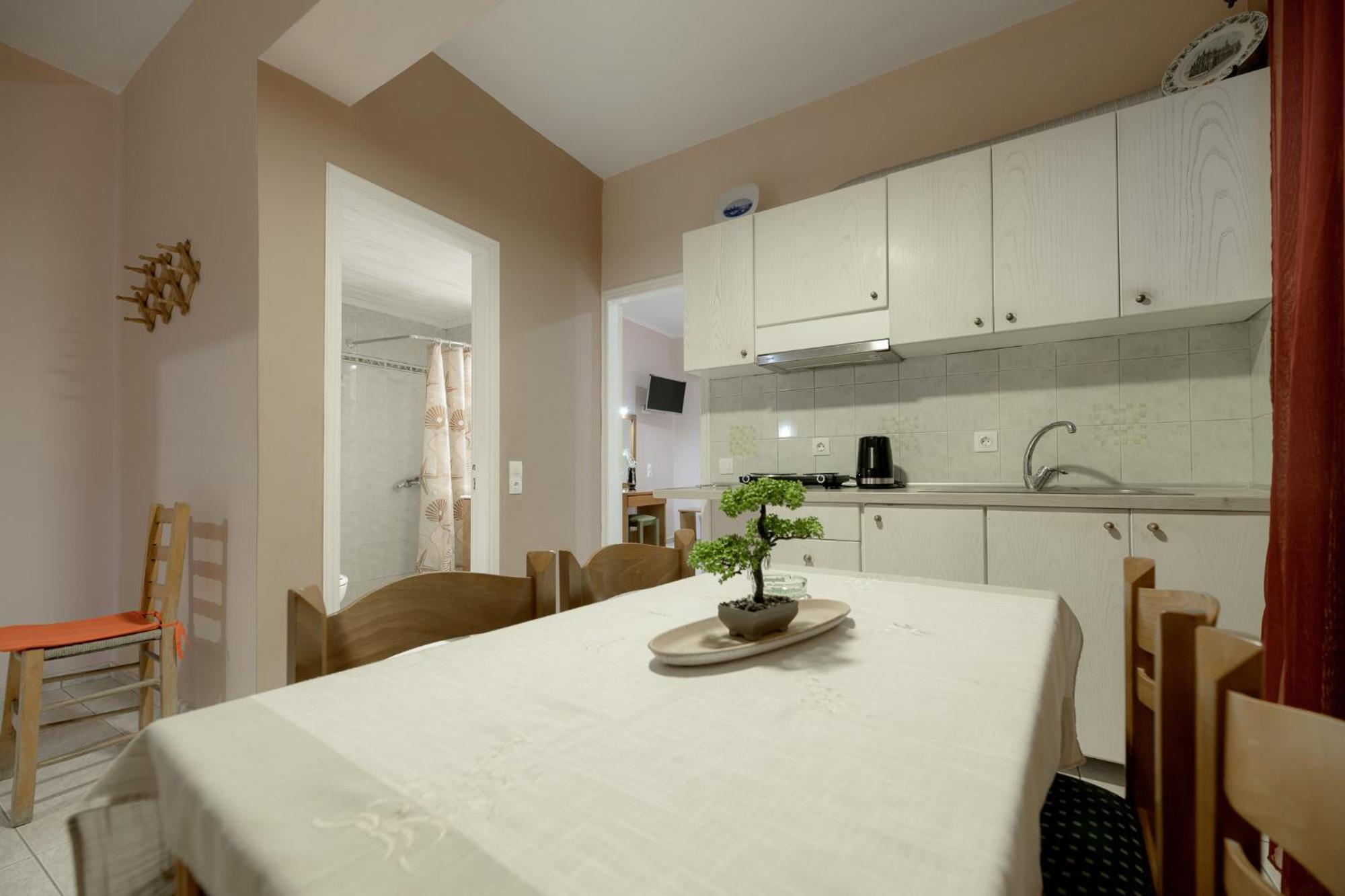 Anthi Studios & Apartments Alykes  Dış mekan fotoğraf